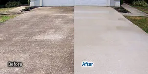 painters near me