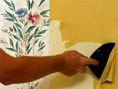 painters in Santa Rosa