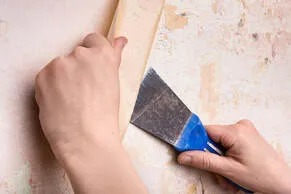 Wallpaper Removal in Santa Rosa, CA